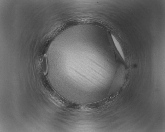 X0000076450601200611031933
