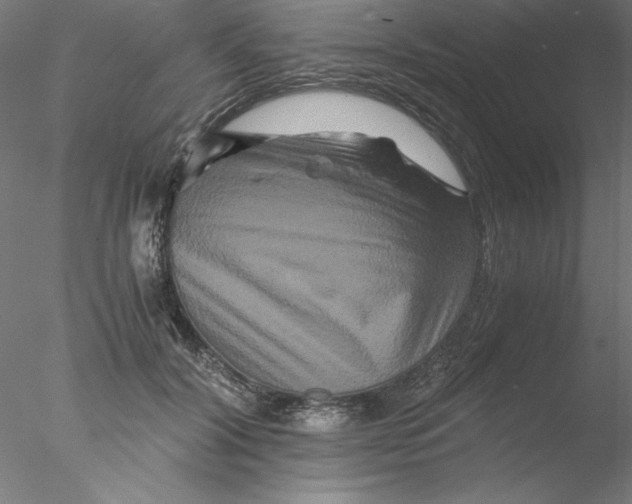 X0000076450604200611031933