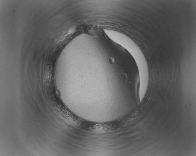 X0000076450608200611031933
