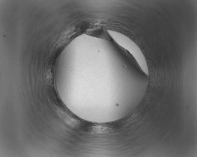 X0000076450614200611031933
