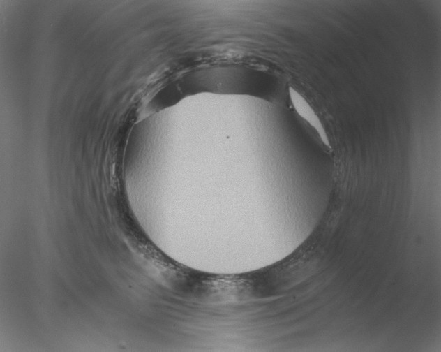 X0000076450615200611031933