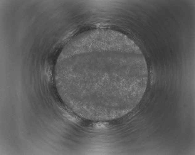 X0000076450618200611031933