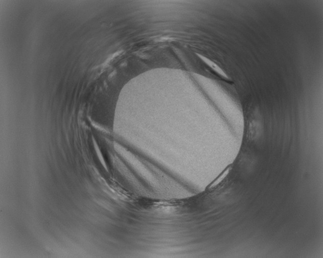 X0000076450620200611031933