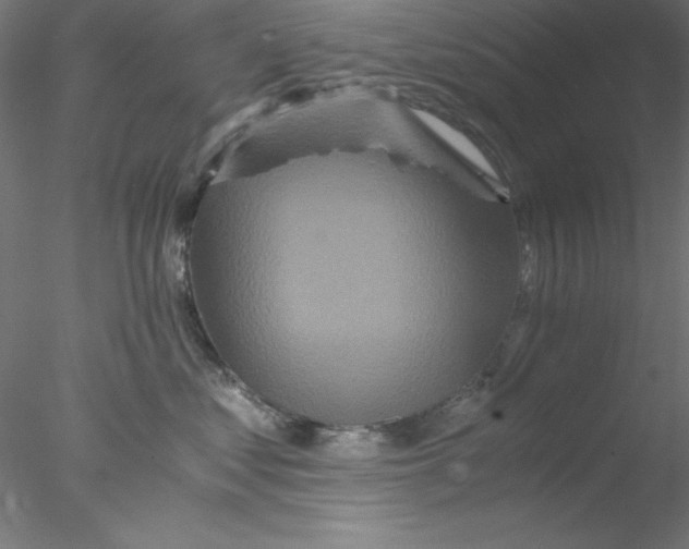 X0000076450621200611031933