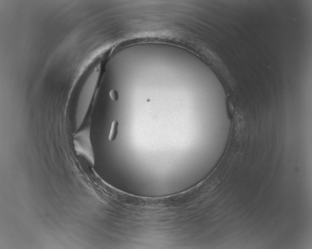 X0000076450628200611031932