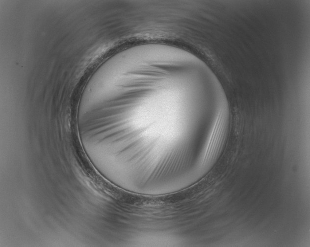 X0000076450631200611031932