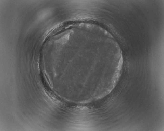 X0000076450640200611031932