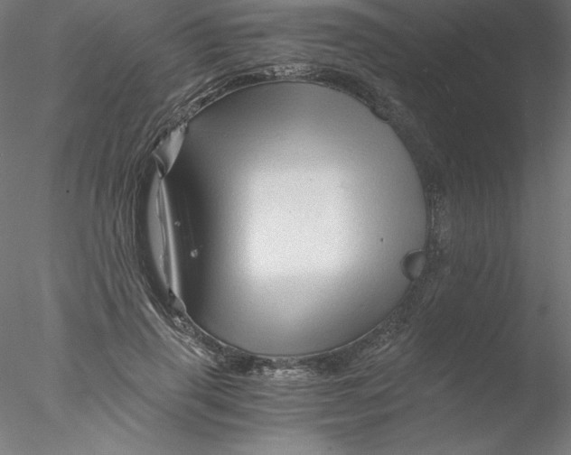 X0000076450645200611031932