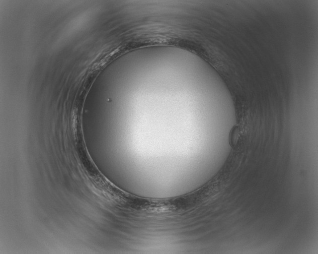 X0000076450646200611031932