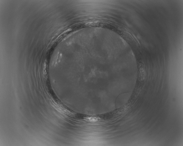 X0000076450654200611031932