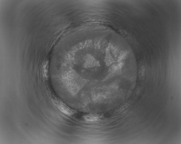 X0000076450661200611031933