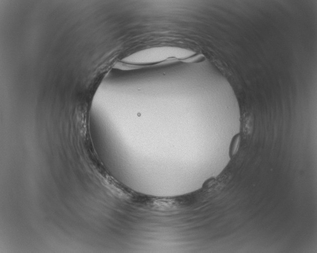 X0000076450666200611031933