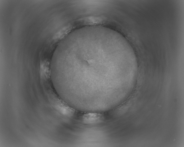 X0000076450672200611031933