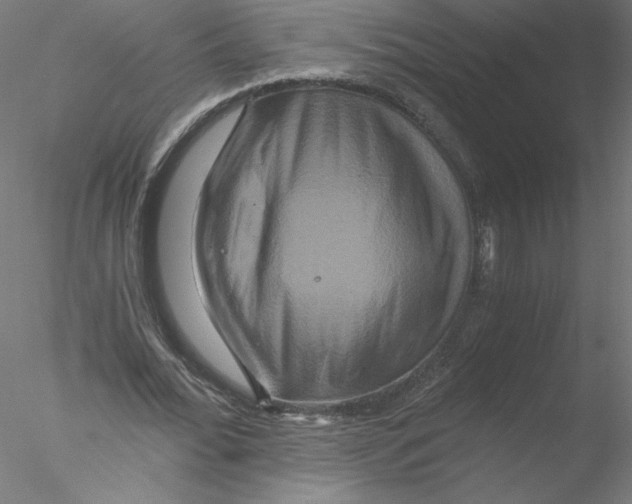 X0000076450676200611031932
