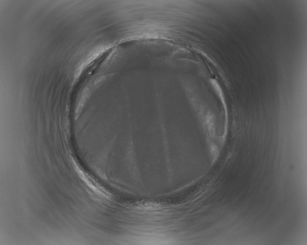 X0000076450677200611031932