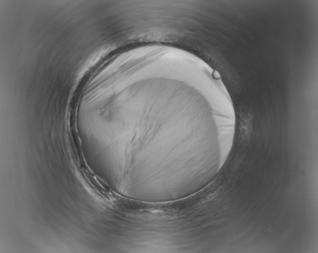 X0000076450678200611031932