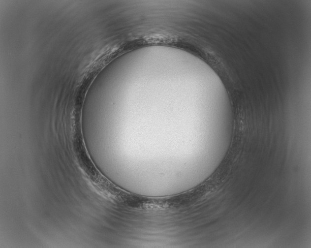 X0000076450690200611031932