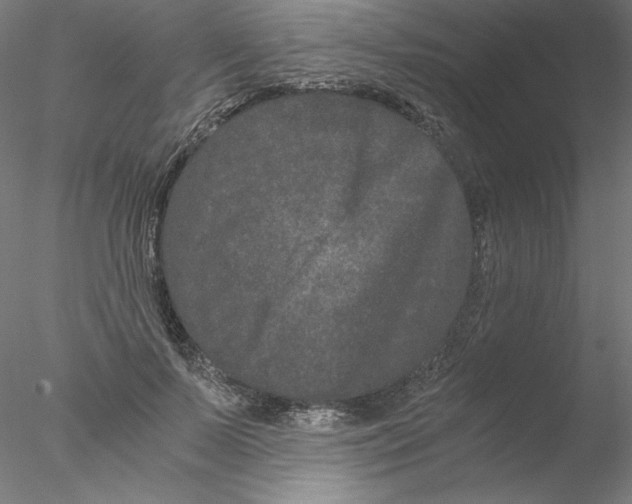 X0000076450695200611031932