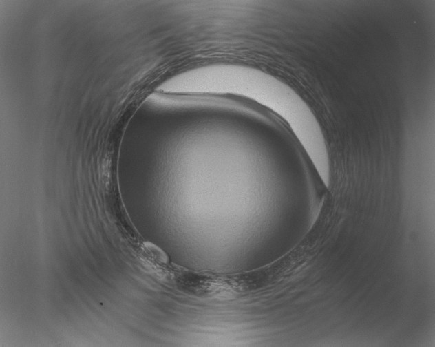 X0000076450697200611031931