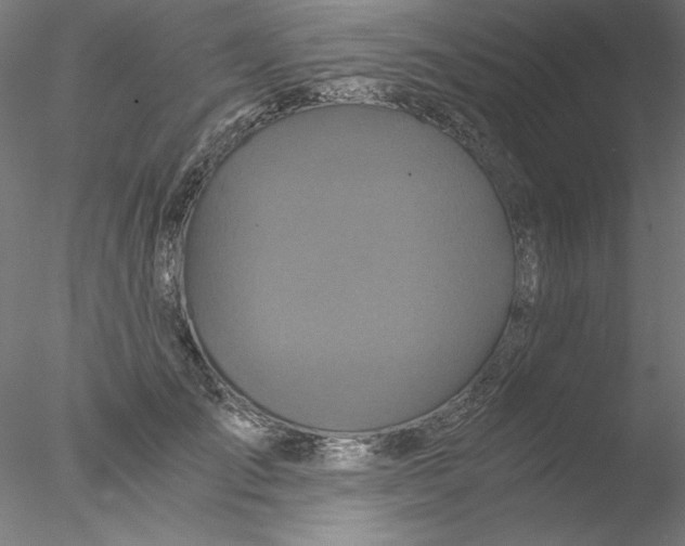 X0000076450701200611031931