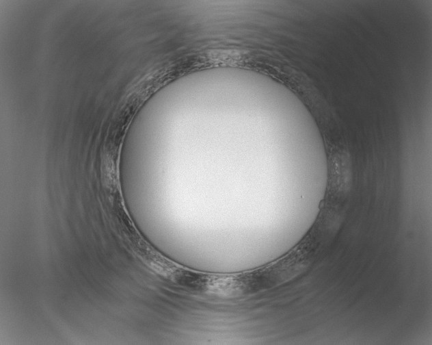X0000076450705200611031931