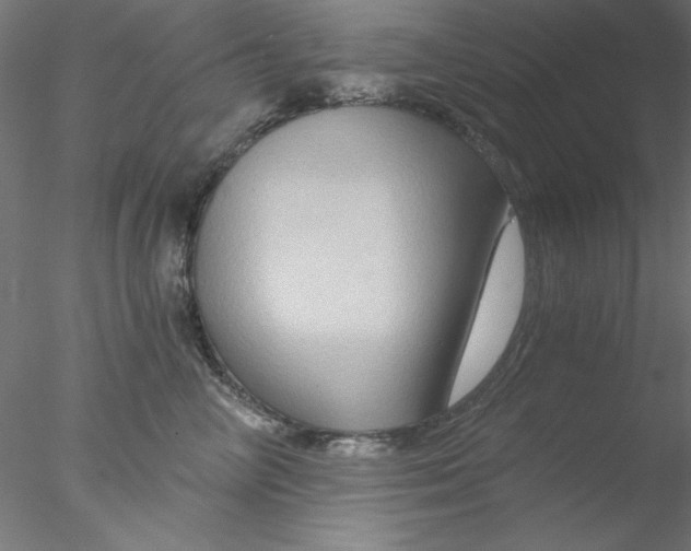 X0000076450714200611031931