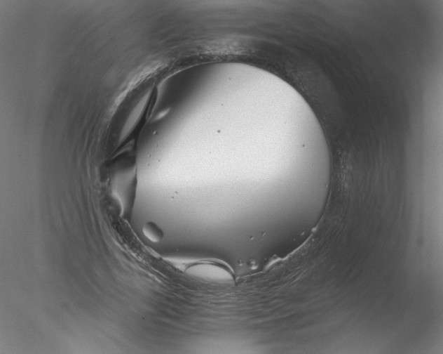 X0000076450731200611031930