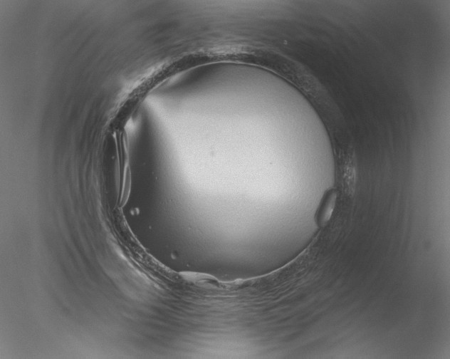 X0000076450732200611031930