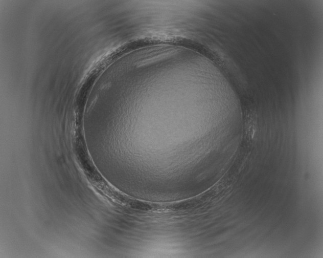 X0000076450736200611031931
