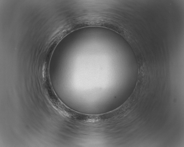 X0000076450744200611031931