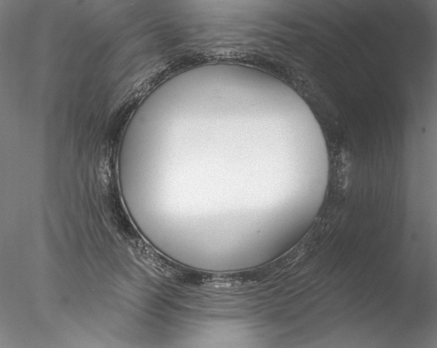 X0000076450746200611031931