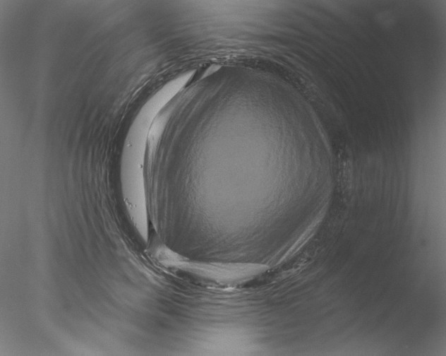 X0000076450750200611031931
