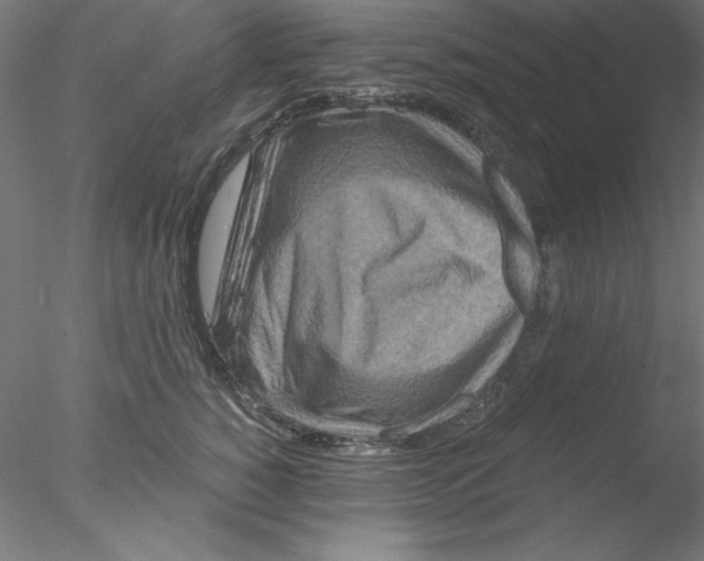 X0000076450760200611031931