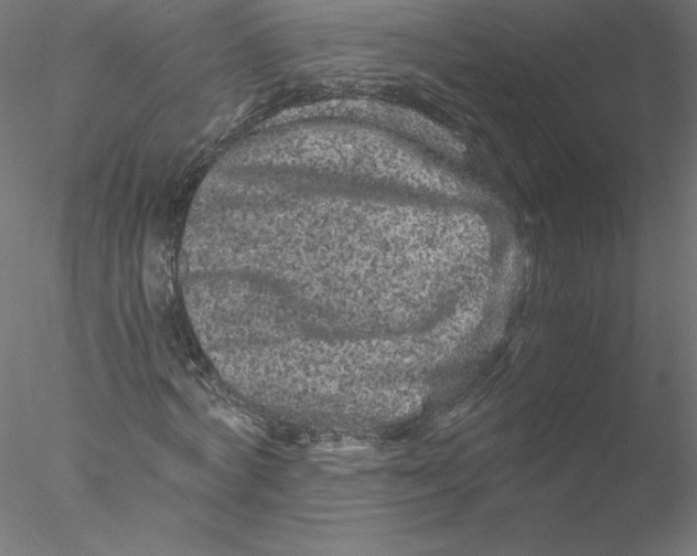 X0000076450772200611031930