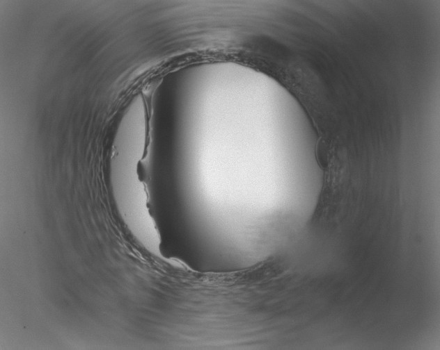 X0000076450773200611031930