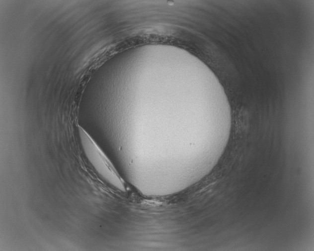 X0000076450774200611031930
