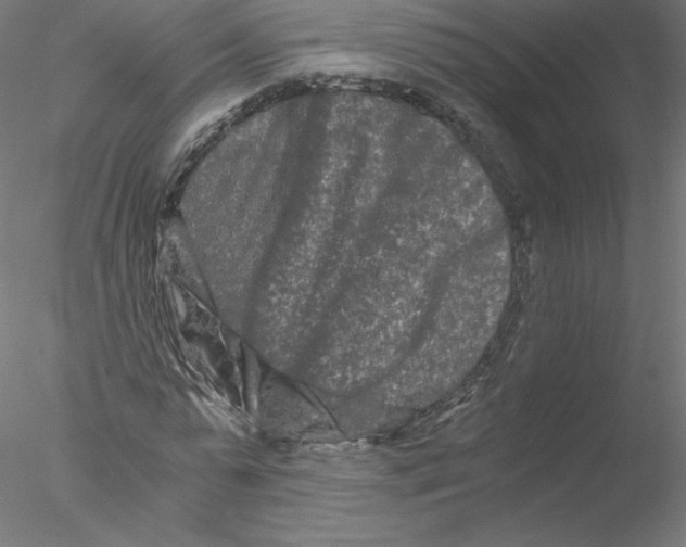 X0000076450775200611031930