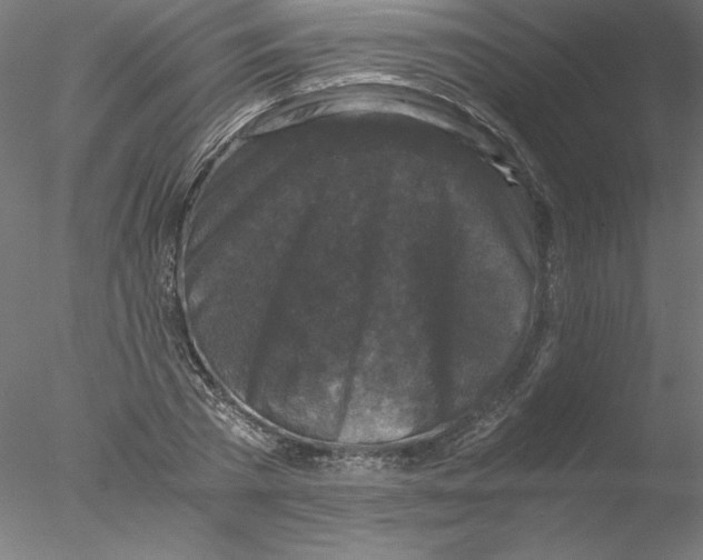X0000076450785200611031930