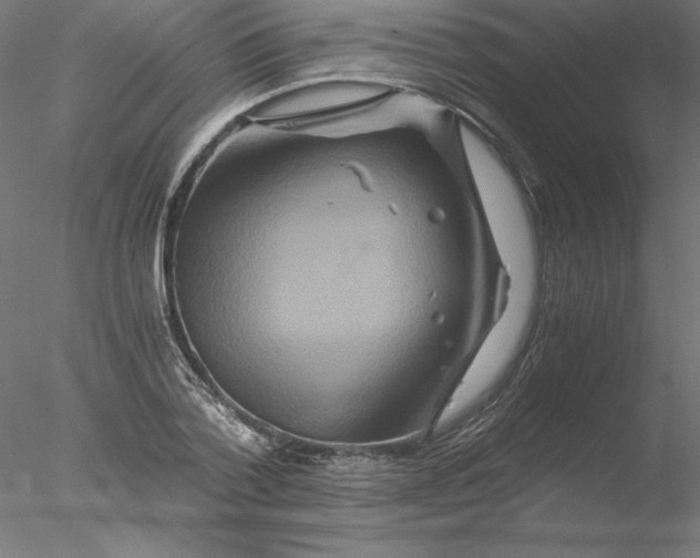 X0000076450788200611031930