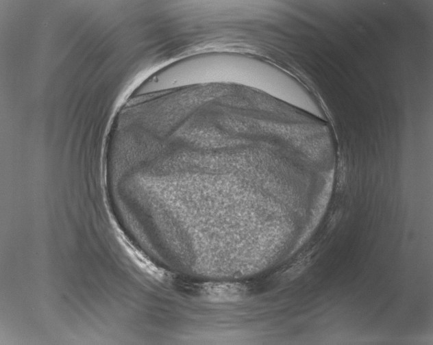 X0000076450795200611031930
