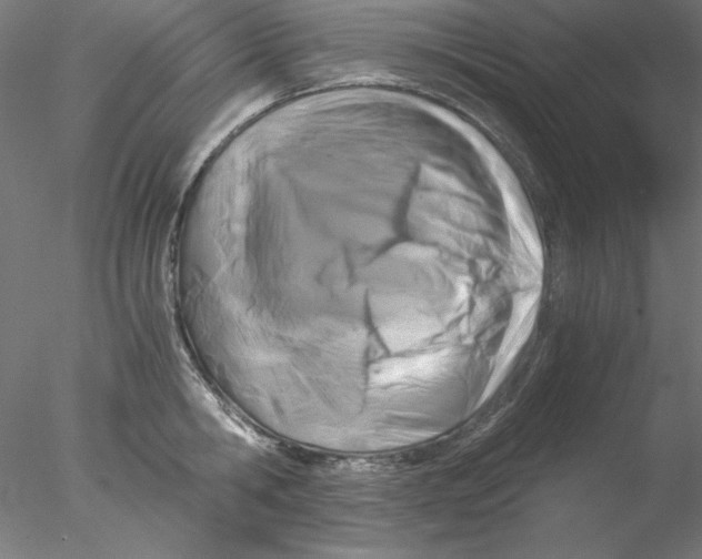 X0000076450806200611031930