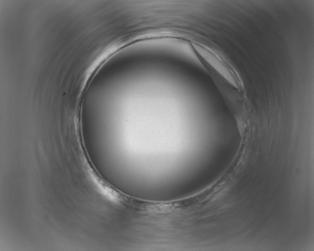 X0000076450813200611031930