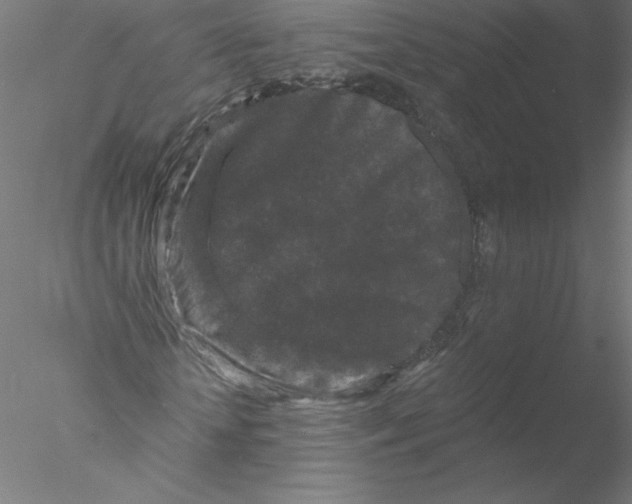 X0000076450818200611031929