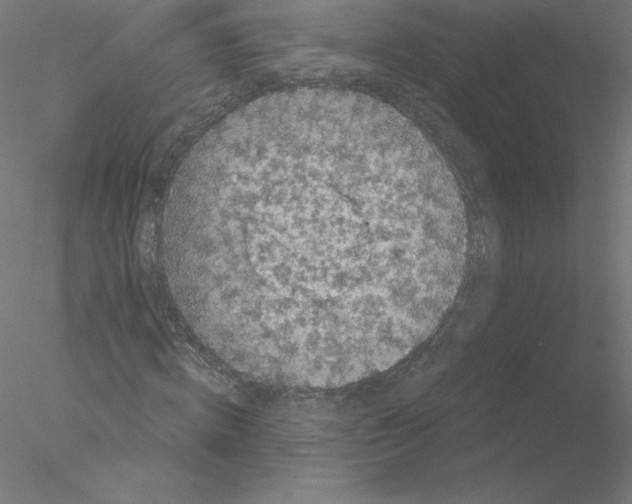 X0000076450820200611031929