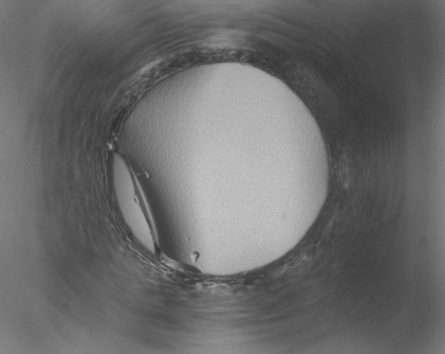 X0000076450821200611031929