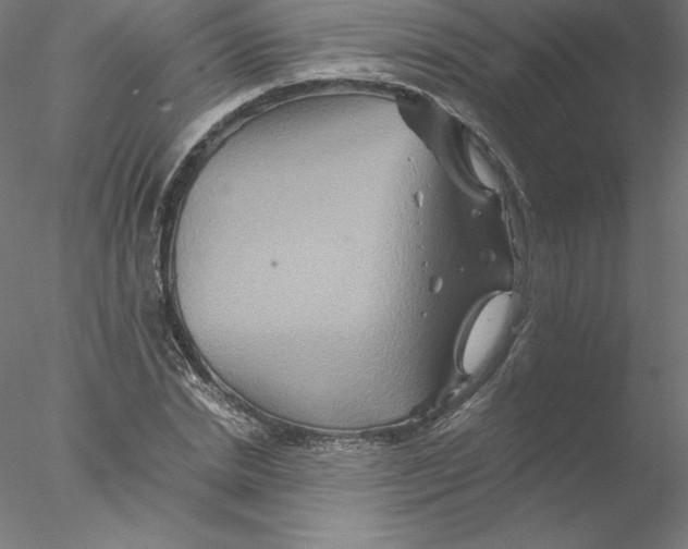 X0000076450830200611031929