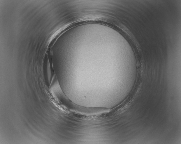 X0000076450834200611031929