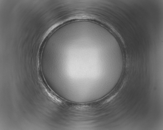 X0000076450837200611031929