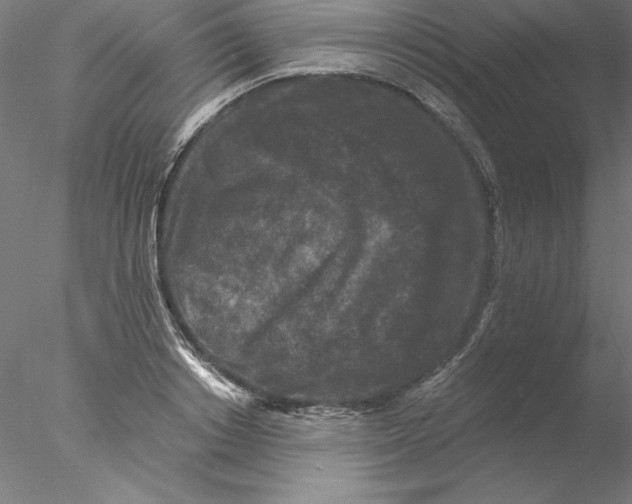 X0000076450842200611031929