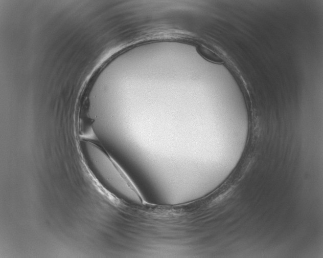 X0000076450843200611031929